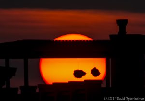 Isle of Palms Sunset