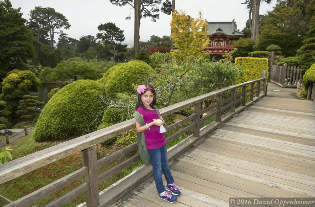 Japanese Tea Garden in Golden Gate Park