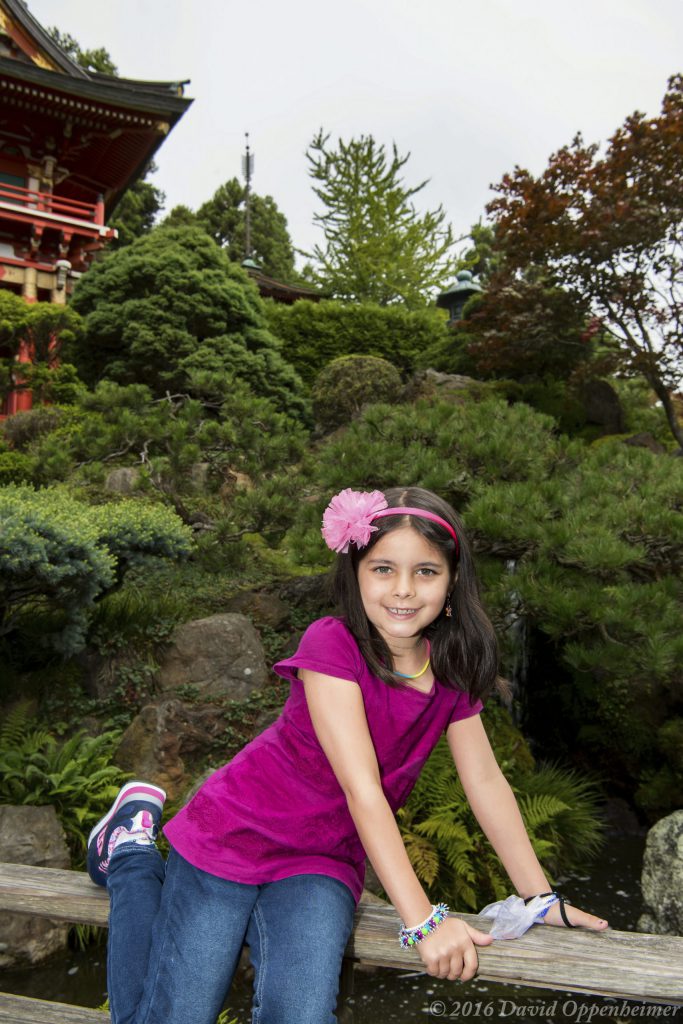 Japanese Tea Garden in Golden Gate Park