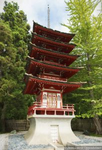 Japanese Tea Garden in Golden Gate Park