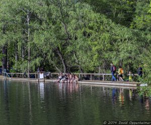 Lake Eden Arts Festival