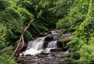 Larchmont Waterfall on Falls Rd.