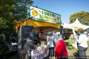 Lemonade Booth