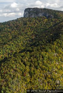 Linville Gorge Wilderness