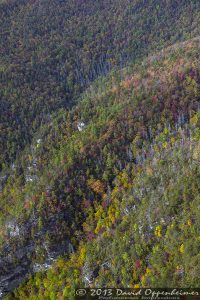 Linville Gorge Wilderness