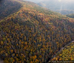 Linville Valley with Autumn Colors