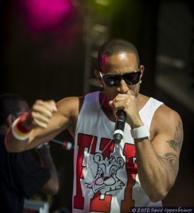 Ludacris at Bonnaroo