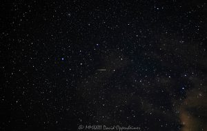 Stars during the Perseid Meteor Shower in the Milky Way over Craggy Pinnacle on the Blue Ridge Parkway