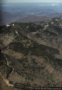 Mount Mitchell State Park