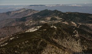 Mount Mitchell State Park