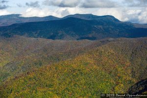 Mount Mitchell State Park in Autumn Colors