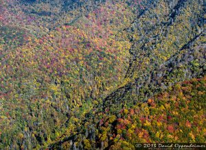 Mount Mitchell State Park in Autumn Colors