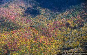 Mount Mitchell State Park in Autumn Colors