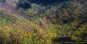 Mount Mitchell State Park in Autumn Colors