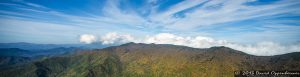 Mount Mitchell State Park in Autumn Colors