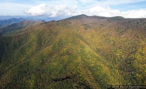 Mount Mitchell State Park in Autumn Colors