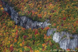 Nantahala National Forest Fall Colors