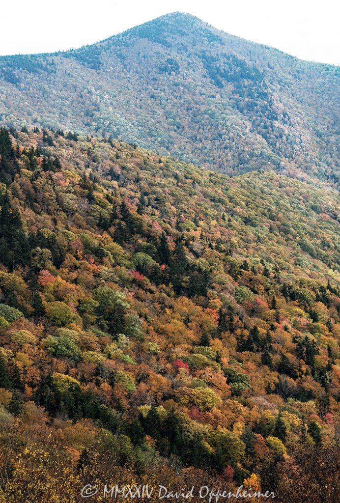 Blue Ridge Pinnacle along the Blue Ridge Parkway with Autumn Colors