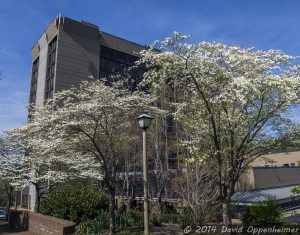 Renaissance Hotel in Asheville by Marriot