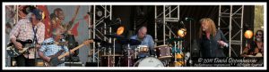 Robert Plant and the Band of Joy at Bonnaroo