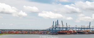 SCSPA Wando Welch Terminal in Mount Pleasant, South Carolina