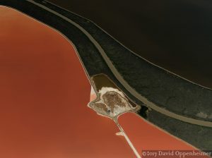 San Francisco Bay Salt Ponds - Cargill