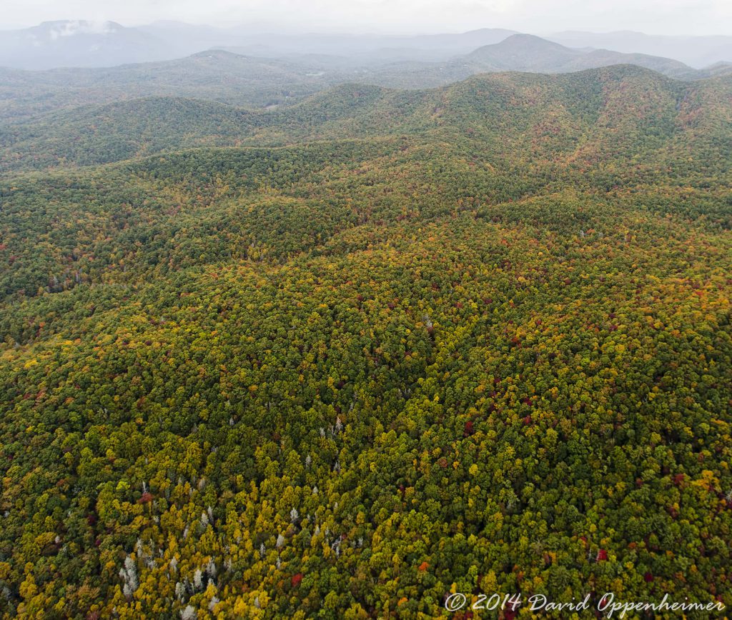 Sapphire, North Carolina - Panthertown Valley - Nantahala National Forest