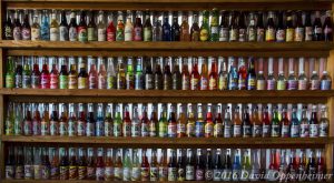 Soda Bottles