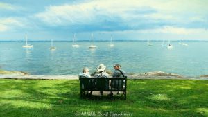 The Conversation at Larchmont Manor Park