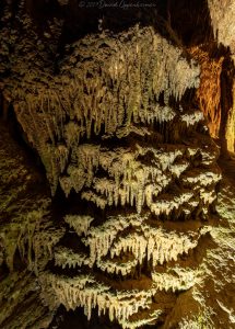 Tuckaleechee Caverns Stalagmites