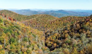 View from East Fork Overlook on the Blue Ridge Parkway