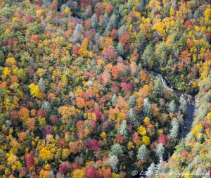 Warden's Falls Waterfall in Nantahala National Forest