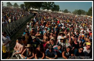 Bonnaroo Crowd at Warren Haynes Band