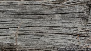 Old Weathered Wood Board