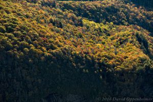 Whiteside Mountain Between Cashiers and Highlands North Carolina